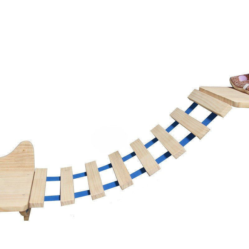 מסגרת טיפוס קיר עבור חתול עם פלטפורמת תלייה וסולם