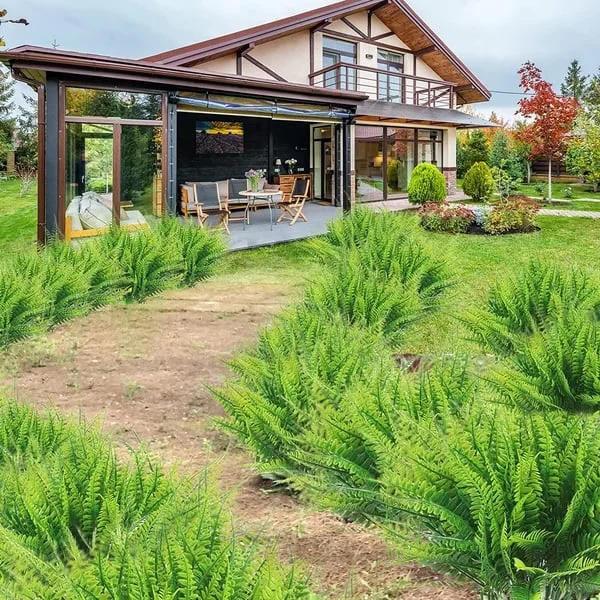 Künstlicher Dekorationsfarn – Realistischer Look und lange Haltbarkeit