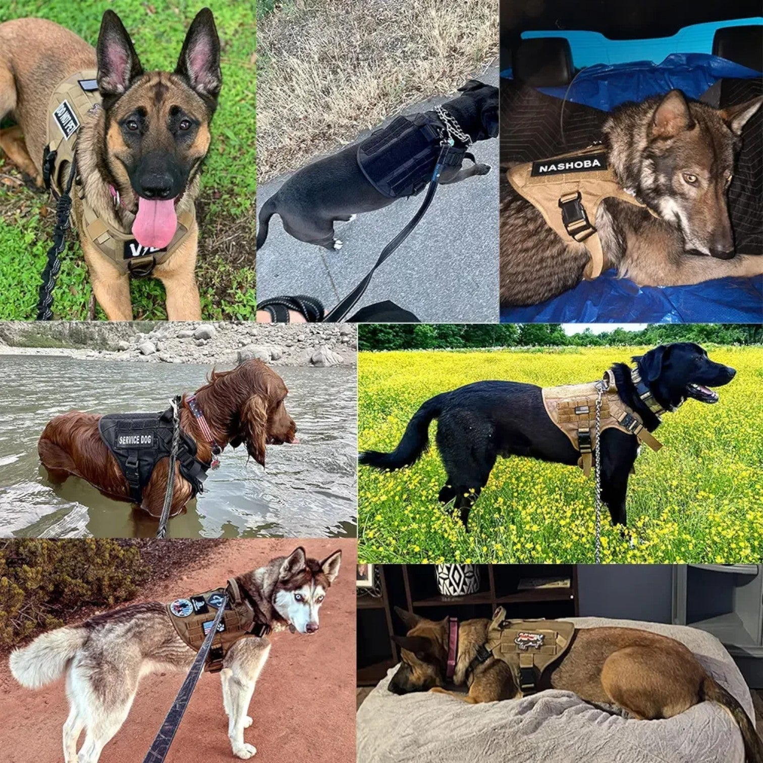 Justerbart Hundesele – Robusthed Og Kontrol
