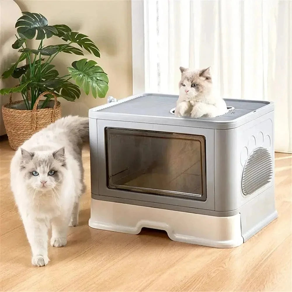 Cat Litter – Optimal Comfort and Hygiene
