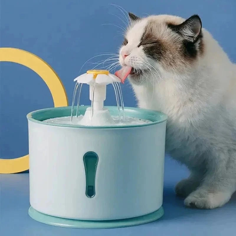 デザインの猫用水飲み場 - 水分補給とエレガンス