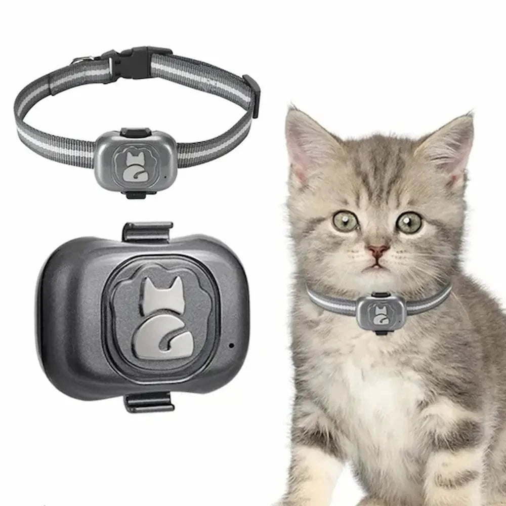 GPS-halsband voor katten – Eenvoudige en Betrouwbare Locatie