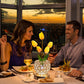 Touch Table Lamp – Elegant Crystal Shine 
