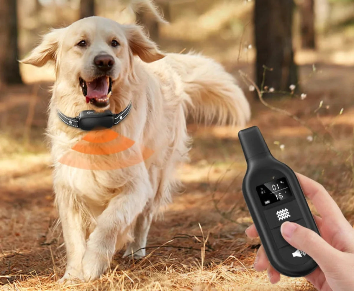 Training Collar with Remote – Effective Education 