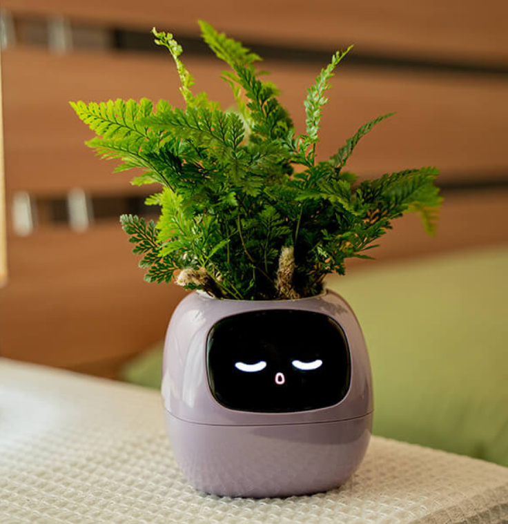 Emoji Vaso di Fiori – Decorazione Originale e Divertente 