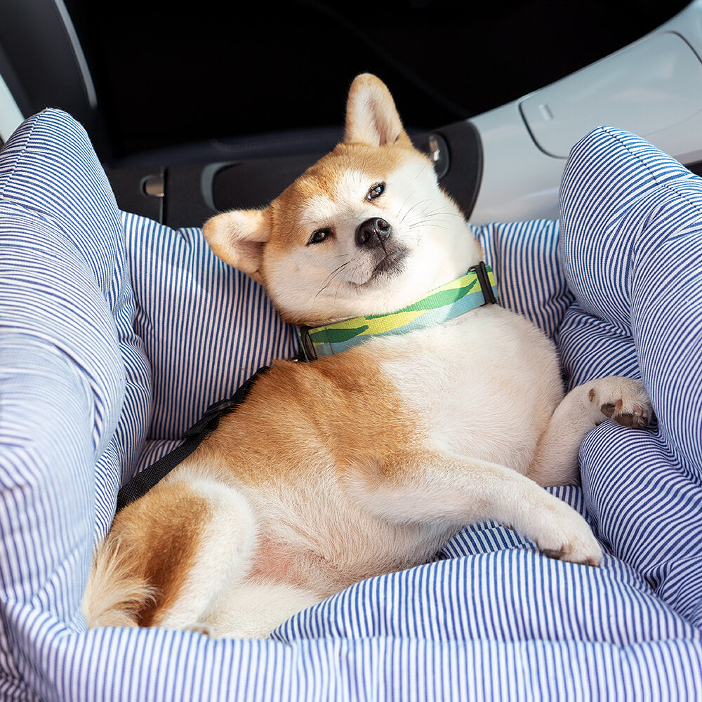 犬のためのカーシート - 旅行中の快適さと安全性 
