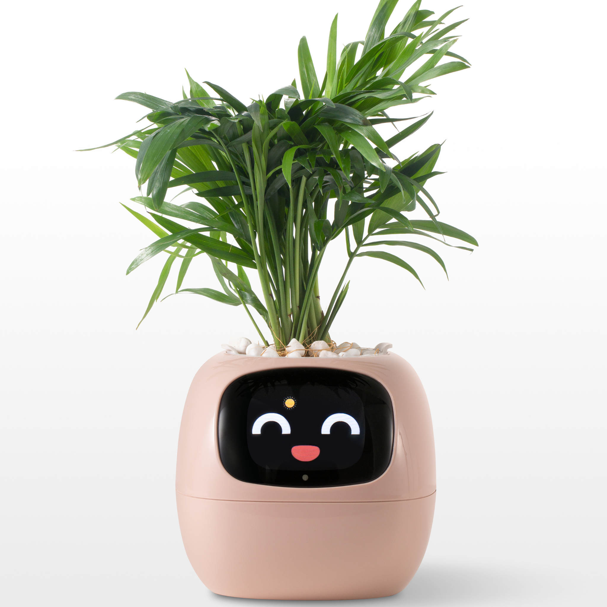 Emoji Kukkaruukku – Alkuperäinen ja Hauska Koriste 