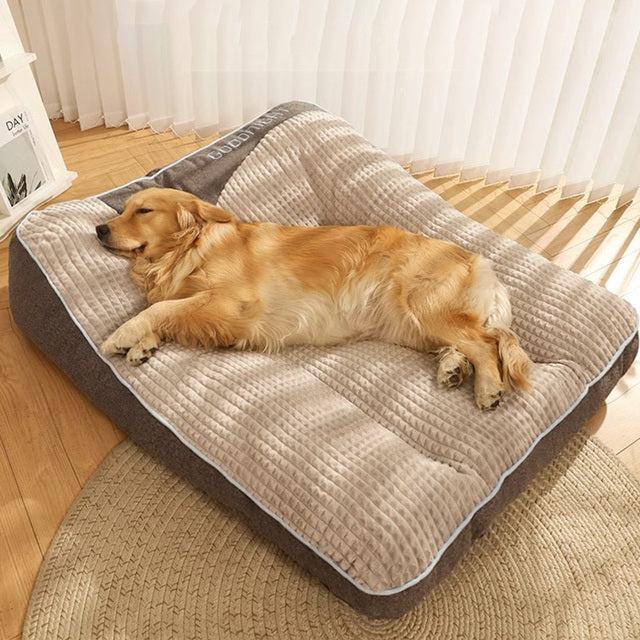 Groot Kussen Voor Honden – Comfortabel Rusten En Generieuze Formaat 