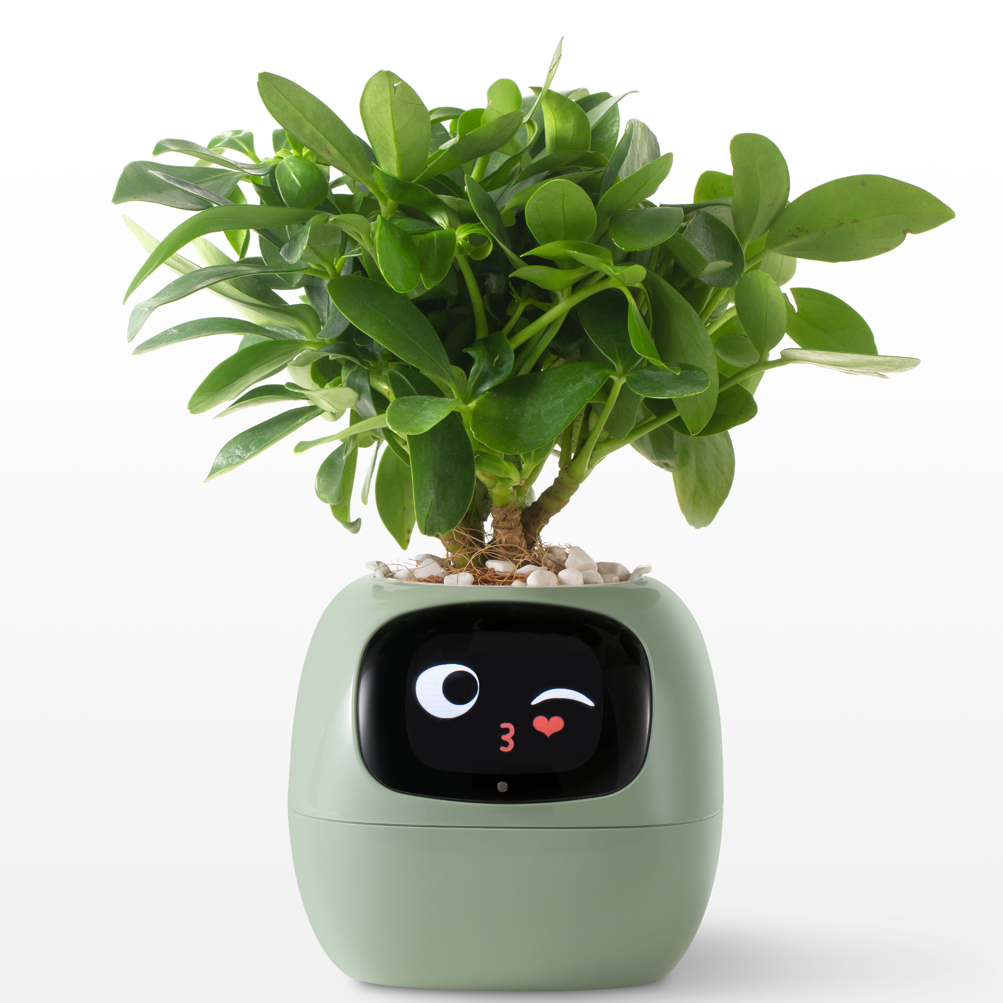 Emoji Kukkaruukku – Alkuperäinen ja Hauska Koriste 