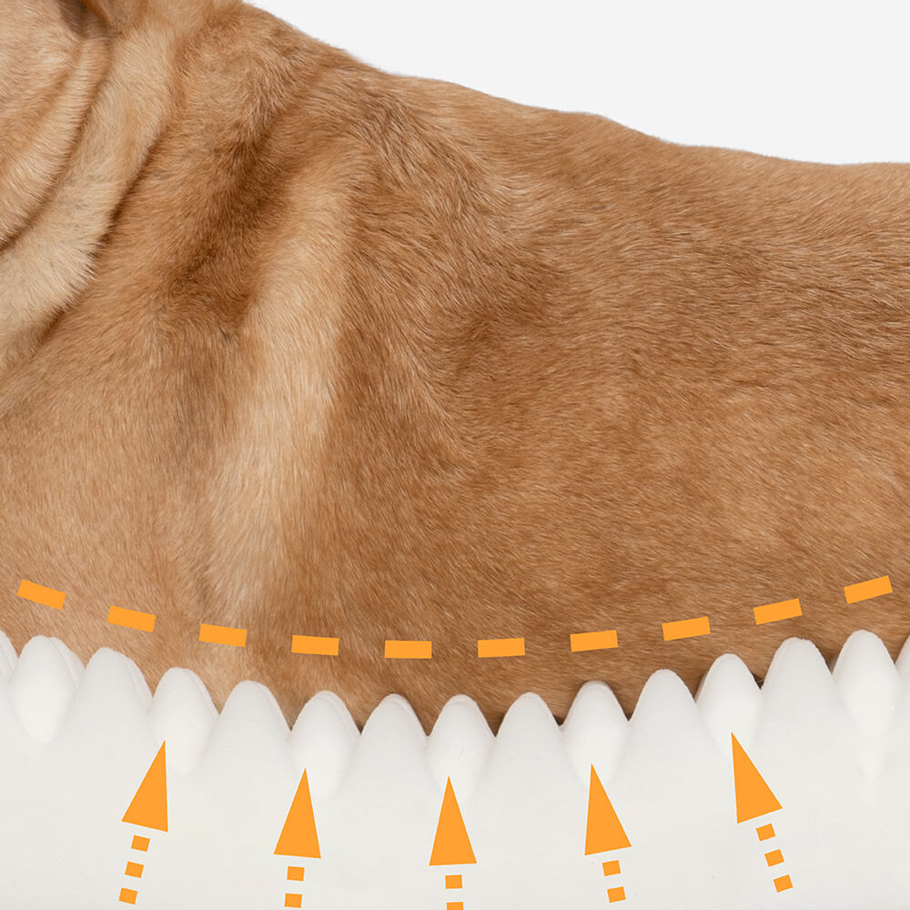 Cama em Forma de Donut para Cão – Conforto e Suavidade 
