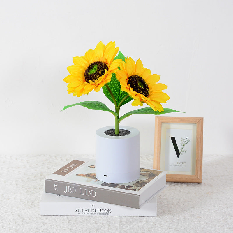 USB Rechargeable LED Table Lamp – Original and Elegant Lighting 
