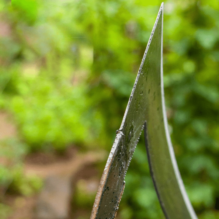 Holle Tuin Hark – Nauwkeurig Gereedschap Voor Een Moeiteloze Taak 