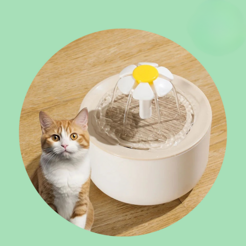 Fontaine À Eau Pour Chat — Hydratation Continue Et Eau Toujours Fraîche