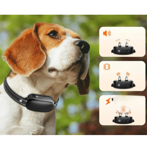 Training Collar with Remote – Effective Education 
