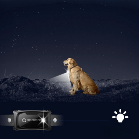 犬用しつけ用カラー – LEDリモコンと1000mの範囲 