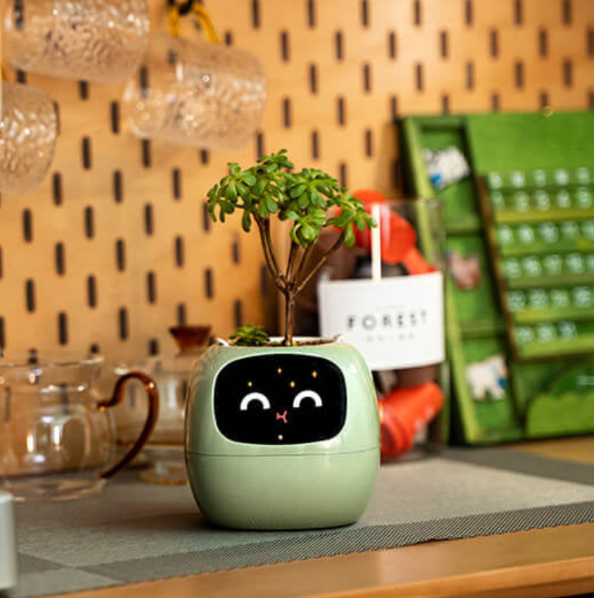 Emoji Vaso di Fiori – Decorazione Originale e Divertente 