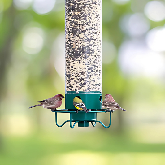 Comedero Para Aves Suspendido – Protección Anti-Rata Y Relleno Fácil 
