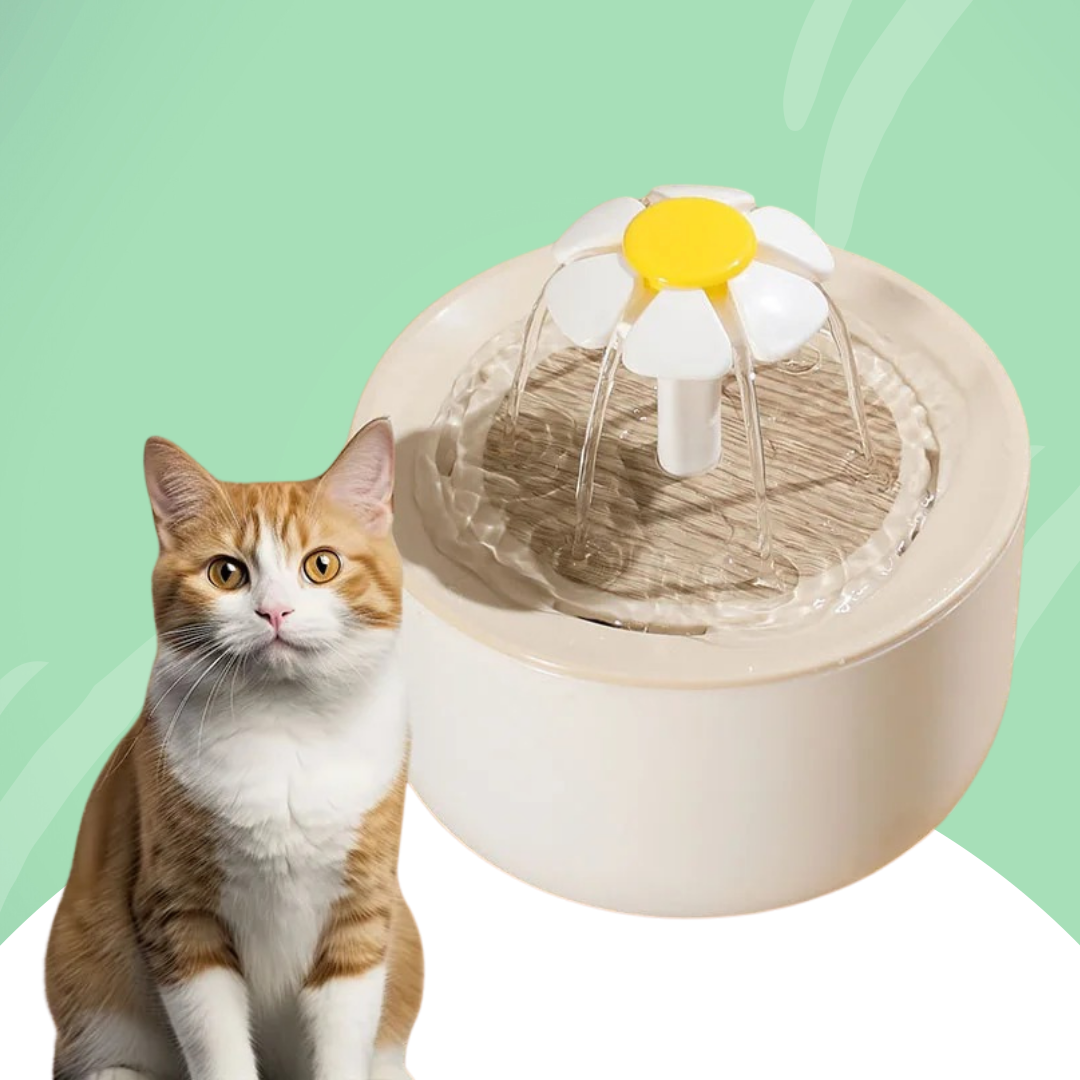 Fontaine À Eau Pour Chat — Hydratation Continue Et Eau Toujours Fraîche