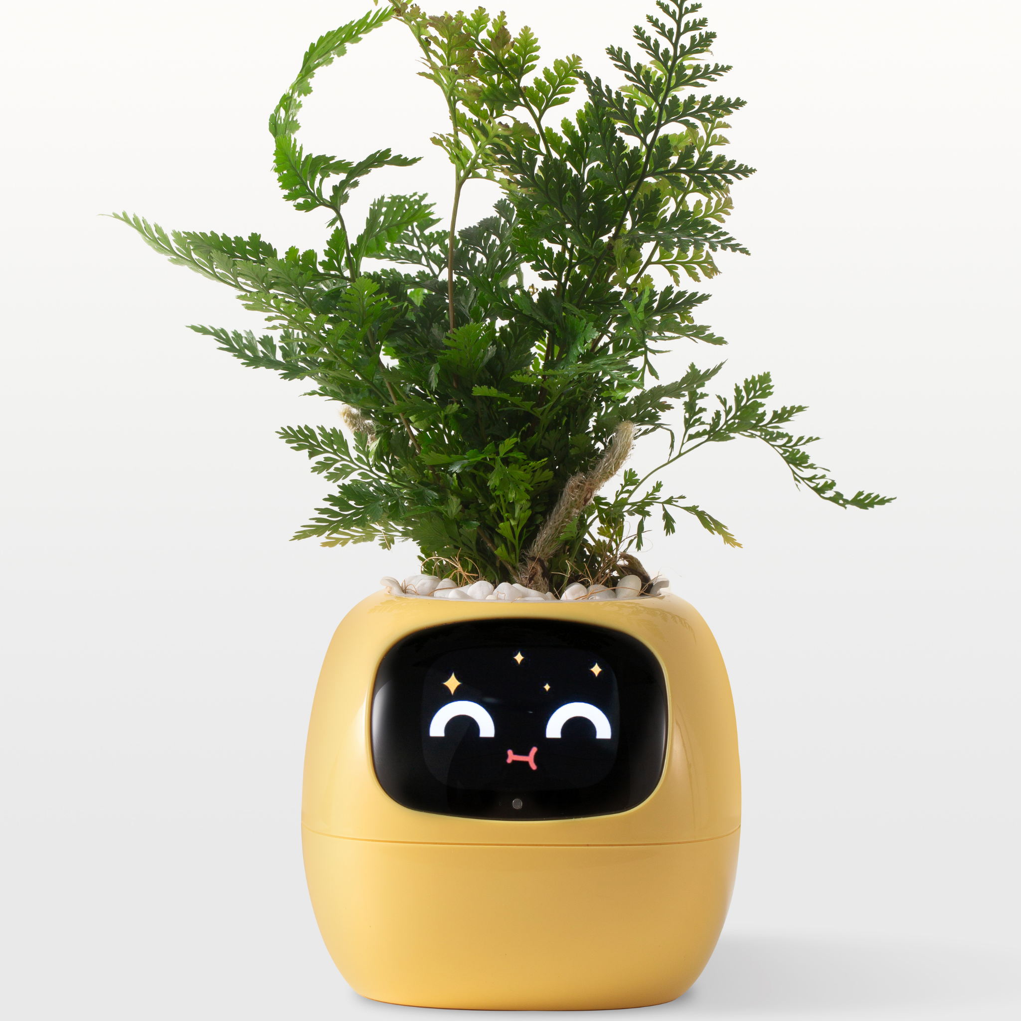 Emoji Kukkaruukku – Alkuperäinen ja Hauska Koriste 