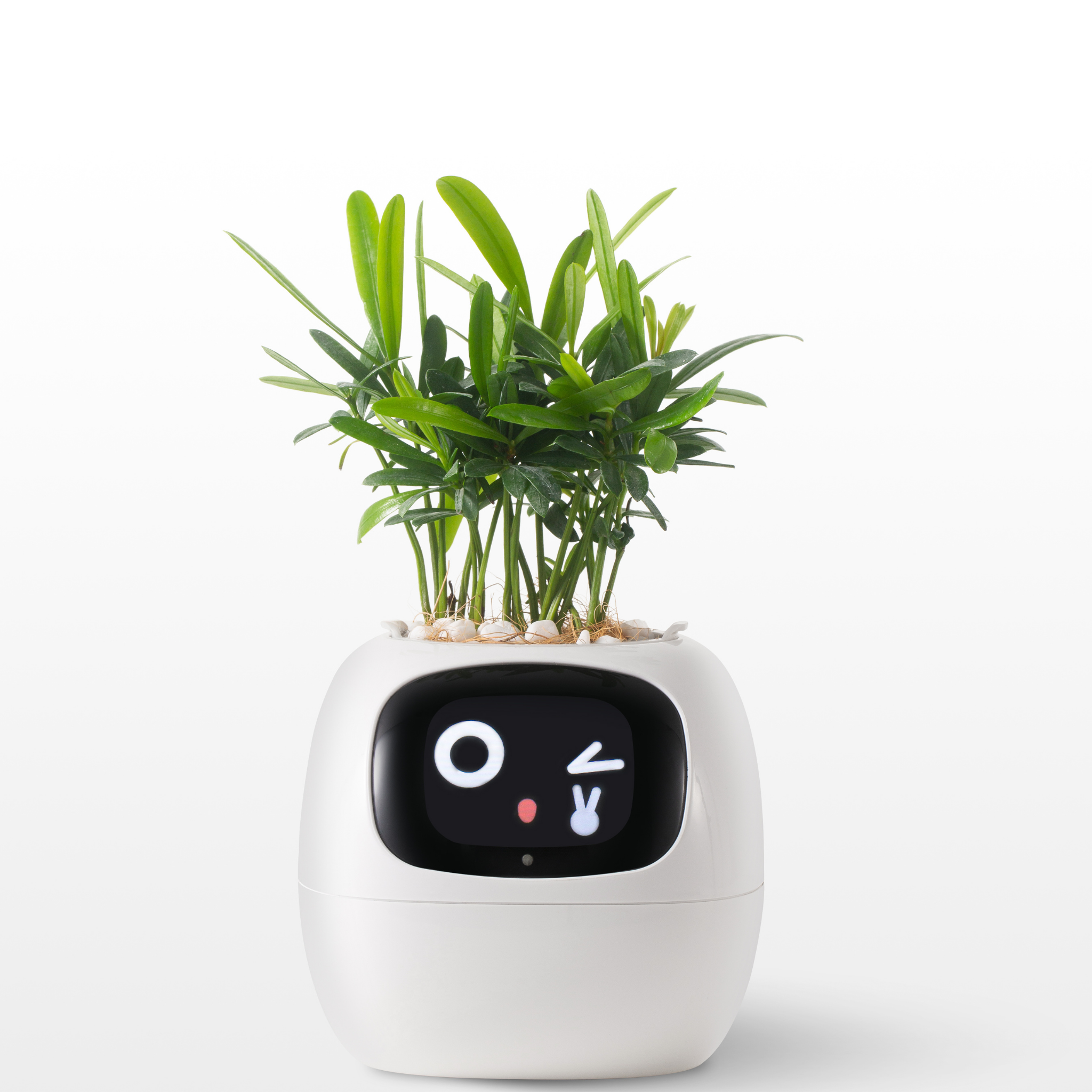 Emoji Kukkaruukku – Alkuperäinen ja Hauska Koriste 